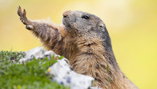 為何不堅(jiān)持你的夢(mèng)想一路走下去(圖5) 為何不堅(jiān)持你的夢(mèng)想一路走下去(圖5)